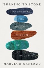 TURNING TO STONE