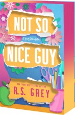 NOT SO NICE GUY