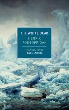 REARGUARD & THE WHITE BEAR