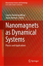 Nanomagnets as Dynamical Systems