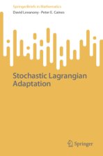 Stochastic Lagrangian Adaptation