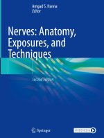Nerves: Anatomy, Exposures and Techniques