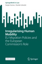 Irregularising Human Mobility