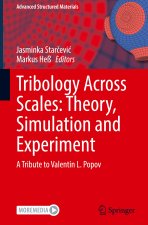 Tribology Across Scales: Theory, Simulation and Experiment