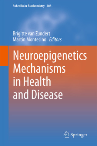 Neuroepigenetics Mechanisms in Health and Disease (Brigitte van Zundert,Martin Montecino)(Pevná)