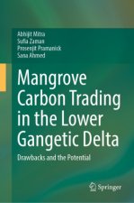 Mangrove Carbon Trading in the Lower Gangetic Delta