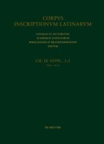 Addenda et corrigenda (CIL IX 9005-9133). Indices.