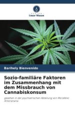 Sozio-familiäre Faktoren im Zusammenhang mit dem Missbrauch von Cannabiskonsum