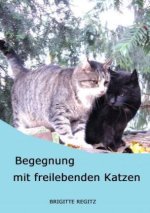 Begegnung mit freilebenden Katzen