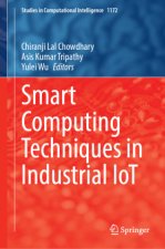 Smart Computing Techniques in Industrial IoT
