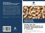 Studie über die Graufleckenkrankheit von Cashew, verursacht durch P. anacardii