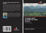 Sviluppo della produttività delle risorse