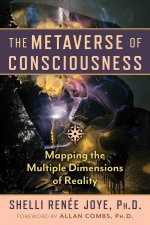 METAVERSE OF CONSCIOUSNESS