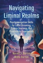 NAVIGATING LIMINAL REALMS