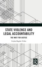 State Violence and Legal Accountablity