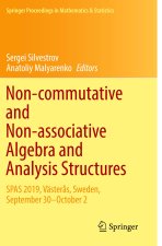 Non-commutative and Non-associative Algebra and Analysis Structures