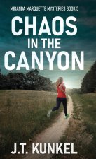 Chaos in the Canyon