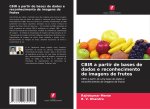 CBIR a partir de bases de dados e reconhecimento de imagens de frutos