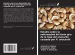 Estudio sobre la enfermedad del tizón gris de la hoja del anacardo causada por P. anacardii