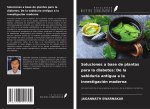 Soluciones a base de plantas para la diabetes: De la sabiduría antigua a la investigación moderna