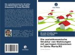 Die sozioökonomische Struktur von Wohnungen mit geringem Einkommen in Santa Maria/RS