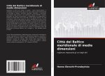 Citt? del Baltico meridionale di medie dimensioni