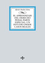 El aprendizaje del Derecho penal parte especial: un estudio desde casos reales