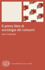 primo libro di sociologia dei consumi