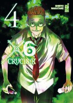 X6. Crucisix