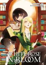 white rose in bloom