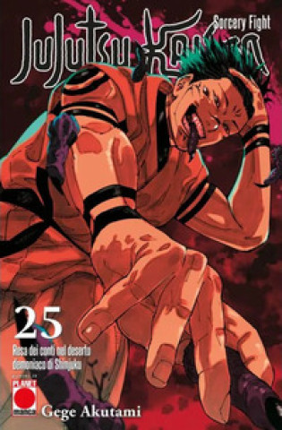 Jujutsu Kaisen (Gege Akutami)(Carte broșată)