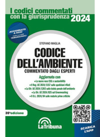 codice dell'ambiente