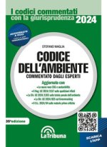 codice dell'ambiente