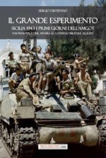 grande esperimento. Sicilia 1943 i primi giorni dell'AMGOT. Dai piani per i civil affairs al governo militare alleato