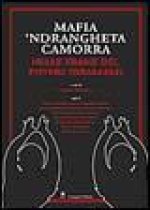 Mafia, 'ndrangheta e camorra nelle trame del potere