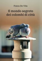 mondo segreto dei colombi di città