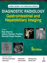 Diagnostic Radiology: Gastrointestinal and Hepatobiliary Imaging