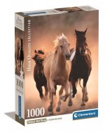 Puzzle 1000 elementów. Compact. Running horses