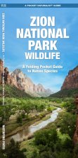 ZION NATIONAL PARK WILDLIFE