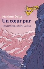 Sur les routes de Tintin au Nepal