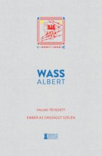 Valaki tévedett - Ember az országút szélén