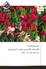 Arabischer Titel