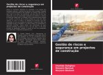 Gestão de riscos e segurança em projectos de construção