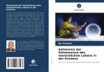 Geheimnis der Geheimnisse des menschlichen Lebens in der Existenz