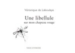 UNE LIBELLULE SUR MON CHAPEAU ROUGE