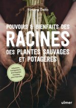 Pouvoirs & bienfaits des racines des plantes sauvages et potagères - Pommades, teintures, infusions, vins, fumigations, recettes gou