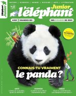 l'éléphant junior n°26