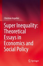 Super Inequality: Theoretical Essays in Economics and Social Policy