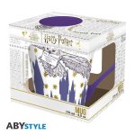 HARRY POTTER - Mug - 250 ml - Letter from Hogwarts - cardboard pkgx2*