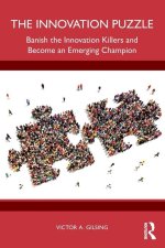The Innovation Puzzle